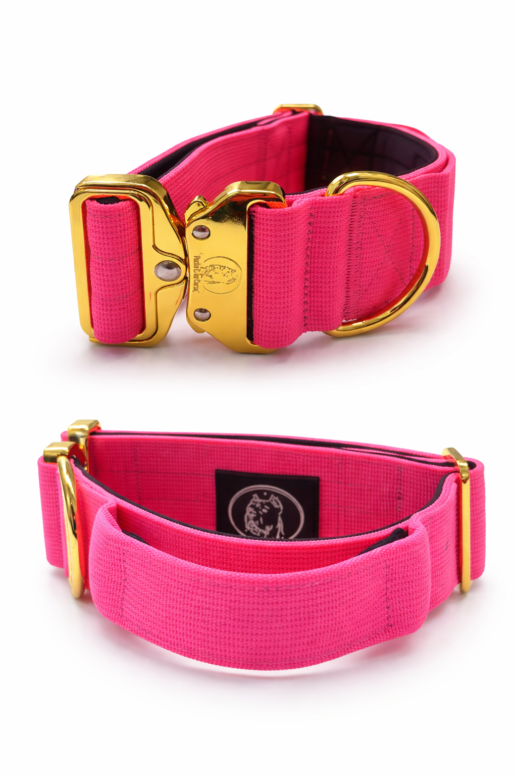 Dog Collar 3.8 inch – Cane Corso, Pitbull & Rottweiler