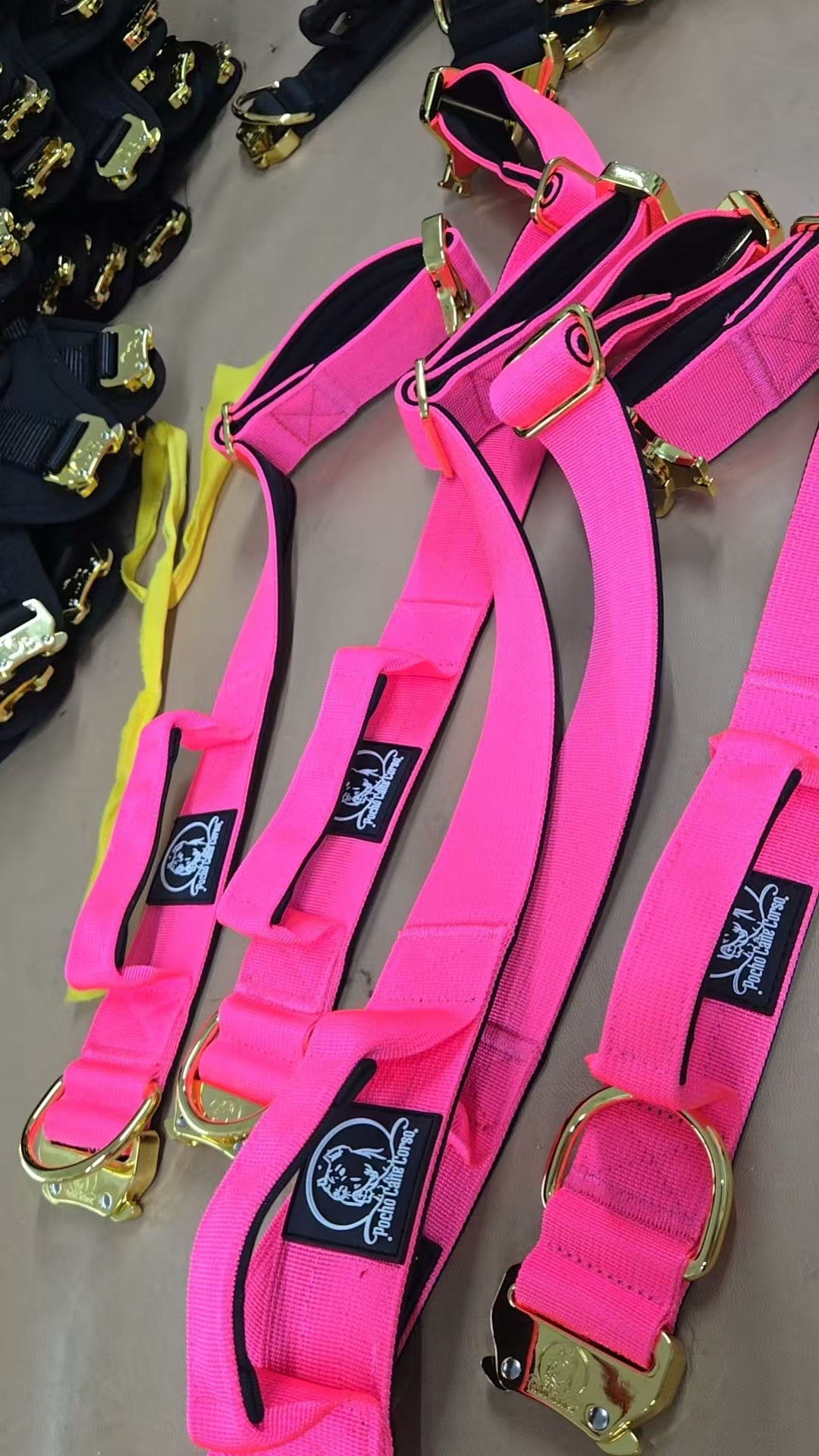 Collar  para Perros  5 in– Cane Corso, Pitbull & Rottweiler