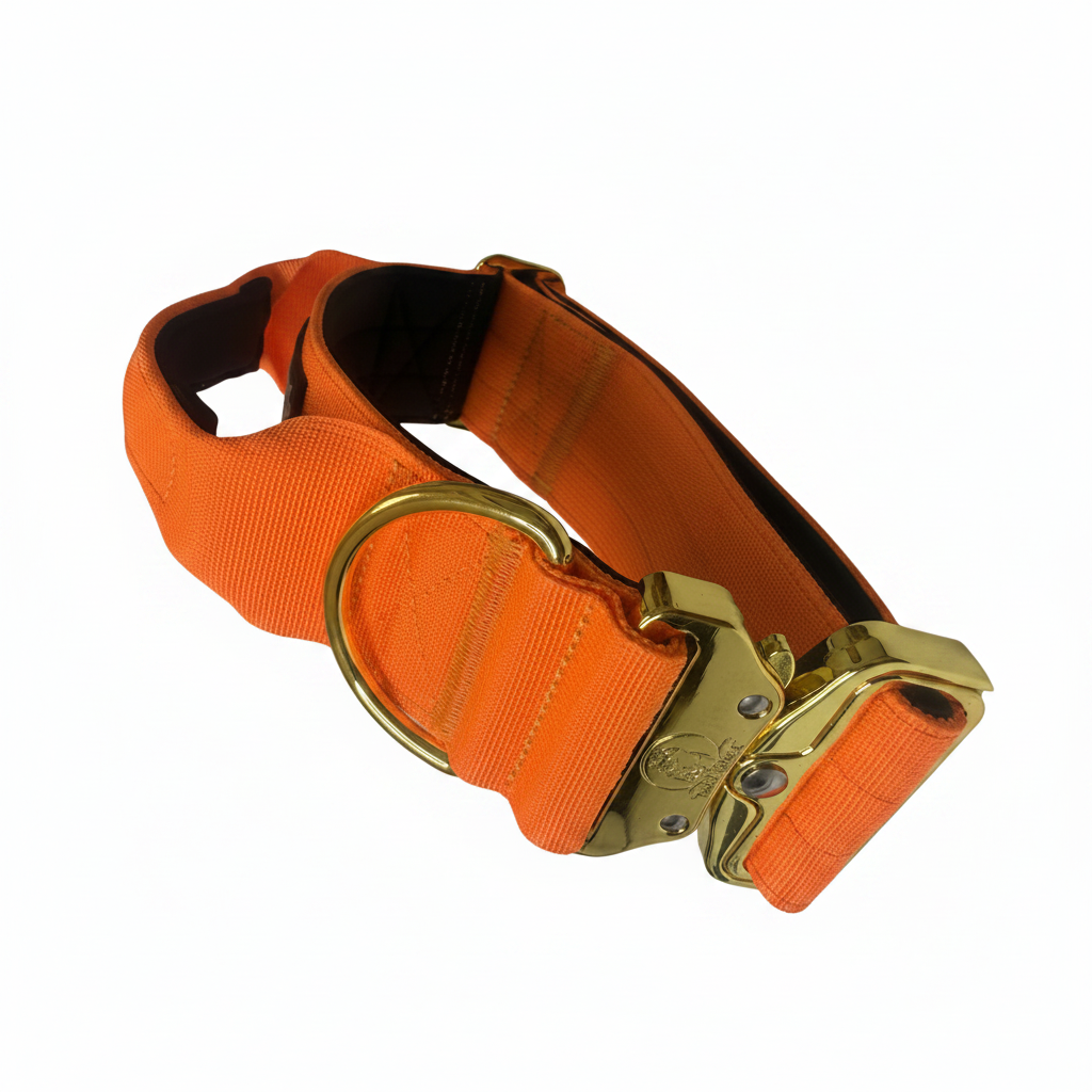 Dog Collar 5 inch – Cane Corso, Pitbull & Rottweiler