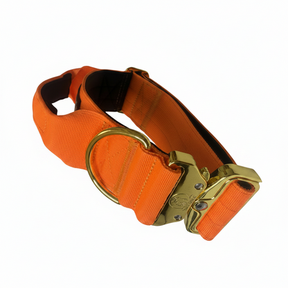 Dog Collar 5 inch – Cane Corso, Pitbull & Rottweiler