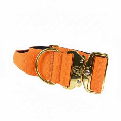 Dog Collar 5 inch – Cane Corso, Pitbull & Rottweiler