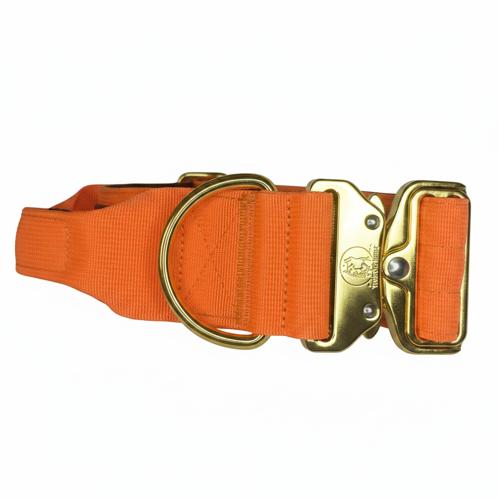 Dog Collar 5 inch – Cane Corso, Pitbull & Rottweiler