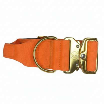 Dog Collar 5 inch – Cane Corso, Pitbull & Rottweiler