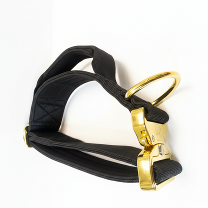 Dog Collar 5 inch – Cane Corso, Pitbull & Rottweiler