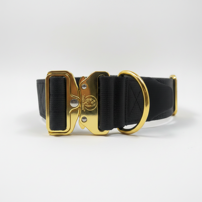 Dog Collar 5 inch – Cane Corso, Pitbull & Rottweiler